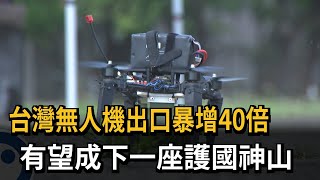 Taiwan's drone exports surge 40-fold, poised to become the next national treasure - FTV News