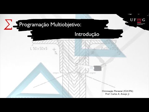 Programação Multiobjetivo: Introdução
