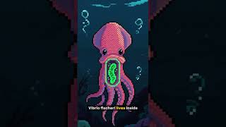 How Bacteria Talk to Each Other #biology #pixelart #science