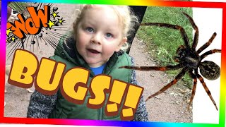 BUG HUNT - looking for bugs - BUGS FOR KIDS  - Finding bugs outside
