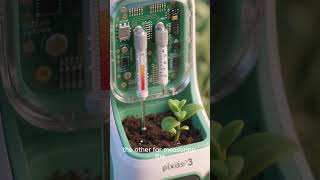 plantcare #SmartPlantMonitor #PlantCare #SoilMoistureSensor #SmartGarden #TechProject #STEM #IoT