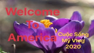 We love America