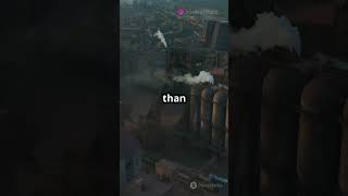 What is the most harmful human action to Earth? #nature #earth #curiousmind