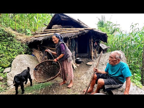 The Tranquility of Rural Life