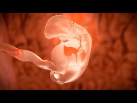 Infuse Medical Animation Clip