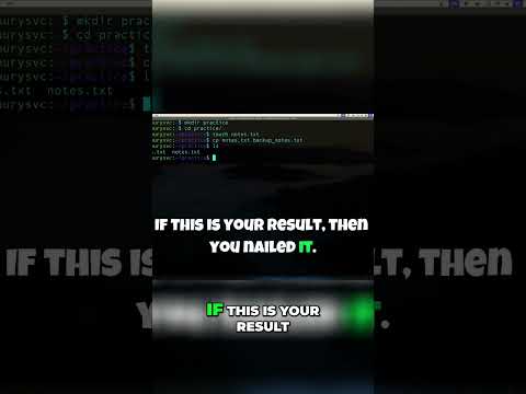 Linux Terminal Challenge for Beginners