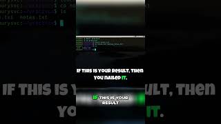 Linux Terminal Challenge for Beginners