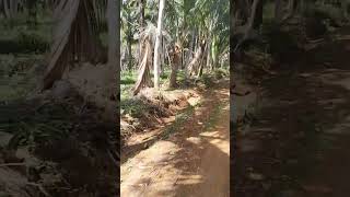 Mountain Road traveling frish air #bikingmode #travel #travelvlog #trending