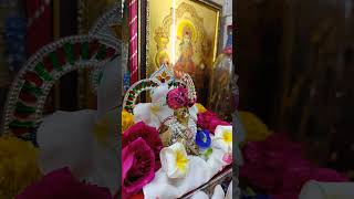 Krishna shorts #shorts #programerved #Chandan vaga#Shri Radha Krishna#Jay Ranchhod #🙏🌹