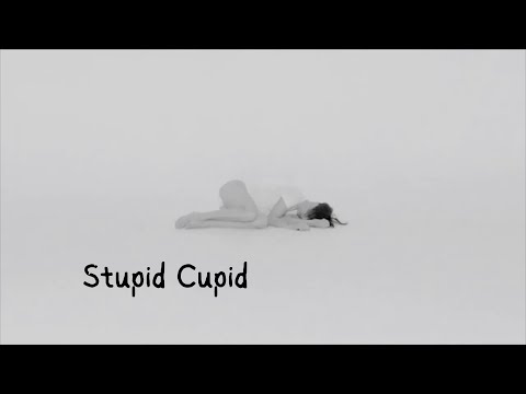 Safa Shax - Stupid Cupid (Music Video)