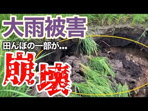 【台風11号接近・大雨被害】田んぼの一部が崩壊しました