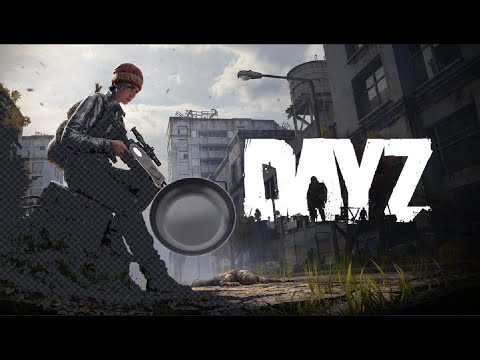 The dayz experience