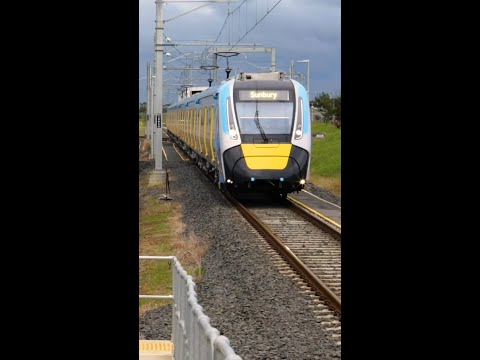 Have you seen one of our new High Capacity Metro Trains yet?
