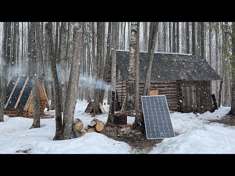Bear-resistant hut. The bear woke up. We are terrified