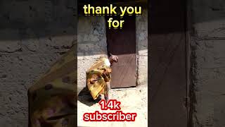 thank you for your support#highlights #everyone #onelove #support