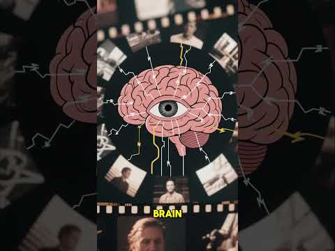 Your Brain Is the Real Simulator