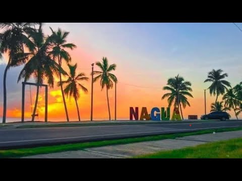 🌴 GOOD VIBES 😎  KING LOGO (VISUALIZER🎞 )
