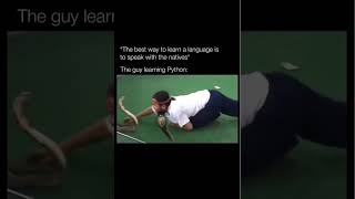 Bro's learning Cobra language😂😂