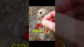 Best Treasure Finds