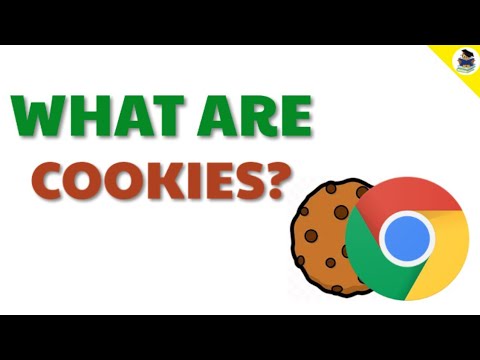 What are Cookies? | Well Explained