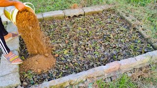 This Ancient ZERO COST Hack Turns DEAD Soil into Microbe Super Soil in DAYS!