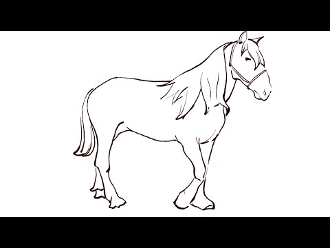 horse