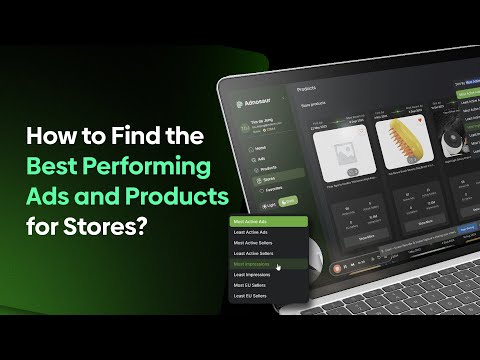 How to find the best-performing ads and products of stores using Adnosaur