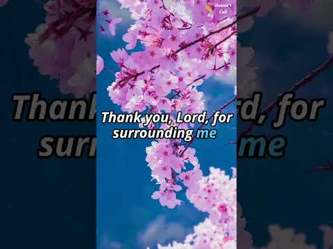 Morning Prayer to Walk in God's Will