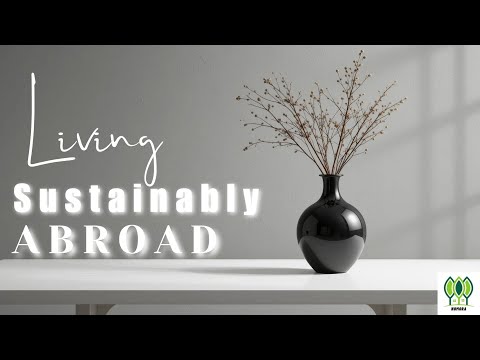 Living Sustainably Abroad: Simple Steps for an Eco-Friendly Life (Ep 4)