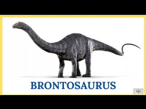 #dinosaur #dino #dinossauros