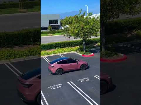 Tesla Robotaxi Nepal #robotaxi