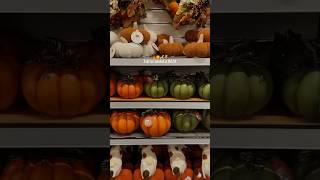 New Fall 2025 finds 🍁 #fallshopping #fallhaul #falldecor #fallfinds #fallseason #falldecorations