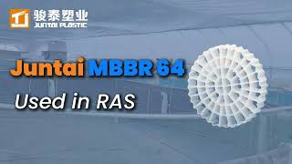 MBBR64 in Action: Stable Biofiltration for High-Density RAS Systems