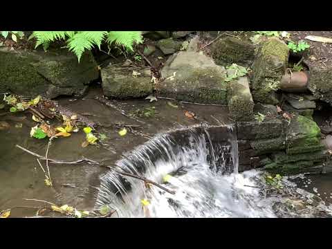 Just Water 2