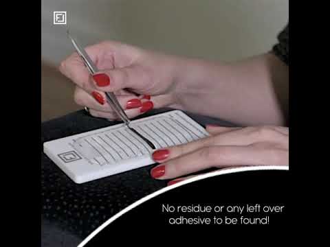 Silicone Lash Palette, which will change your live