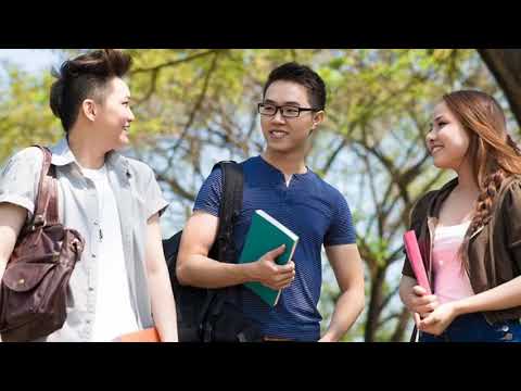 Marketing Assignment Help in New Zealand