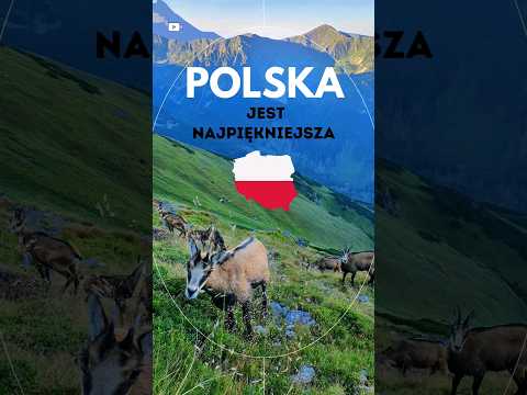 Polska jest najpiękniejsza :)   #polska #shorts