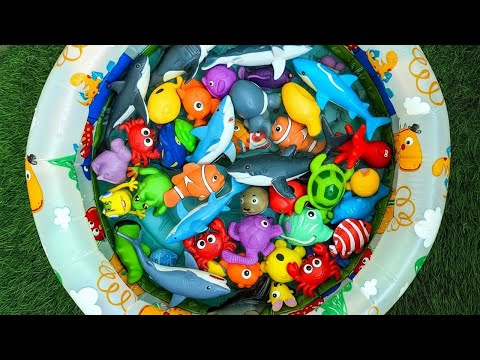 Learn Sea Animal Names and Facts with Fun Toys | Ocean Animal Toys for Toddlers