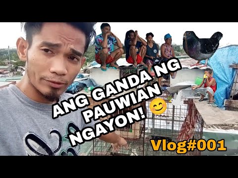 ANG HULING LABAN NG TAON - VLOG#001 #TEAMIBON