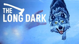 The Long Dark: Tales from the Far Territory. #9. Aggressive Wolf