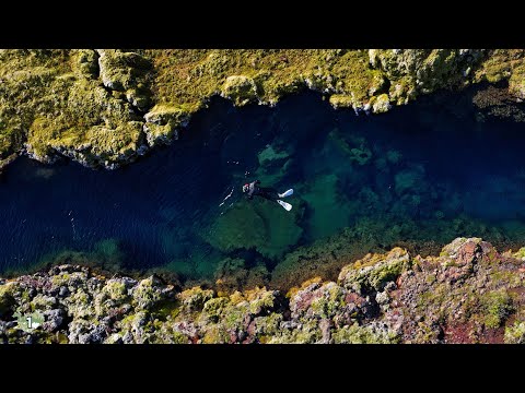 Snorkeling Between Two Continental Plates in Iceland