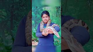 The Silent Predator: Watch This Python in Action! 🐍🔥   #Shorts