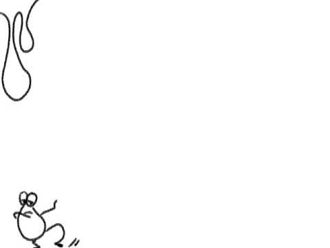 frog animation