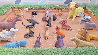 An Interactive Learning Through Friendly Farm Animals and Keystone Species