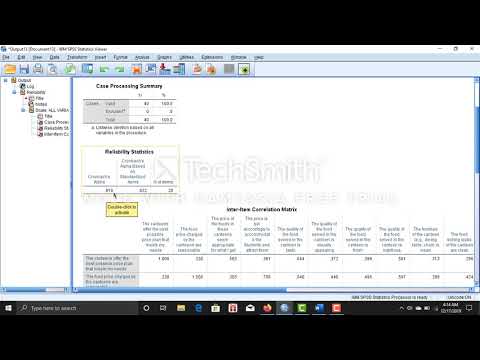 How to do Reliability Analysis in SPSS.