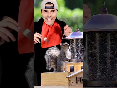 Mark Rober goes too far! 😱