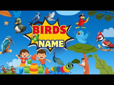 Fun & Learn Kids I Discover the Amazing World of Birds! I Parrots I peacocks I owls I eagles I