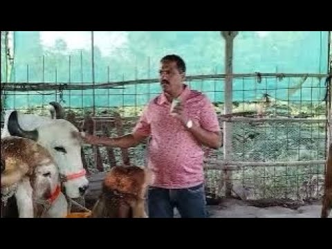 अगसतीपार्श का उपयोग कैसे करें //माऊली धाम सेवा आश्रम //फारसी वालेबाबा