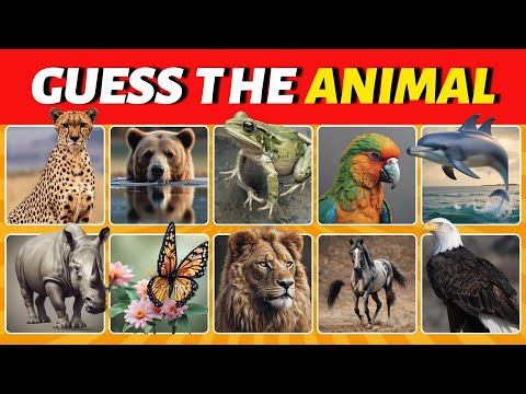 Guess the Animal Quiz 🐾 | Fun and Challenging Animal Trivia Game