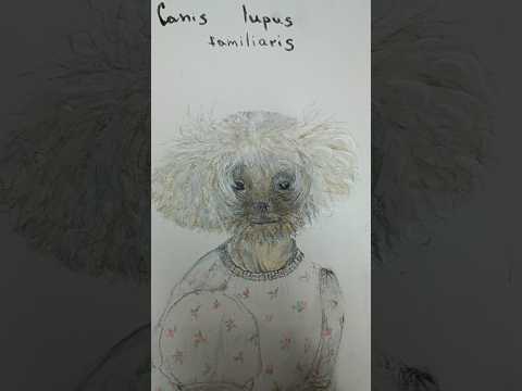 When Drawing Brings Joy 🐕| A Cute Dog Art